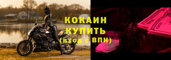 прущие крисы Туринск