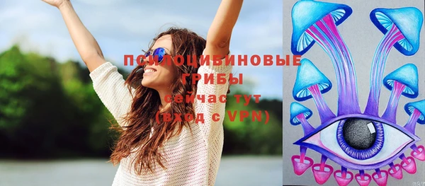 марки lsd Каменка