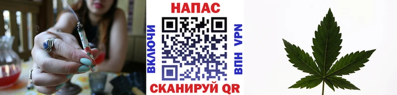 Бошки марихуана сатива  Купить где  Красновишерск 
